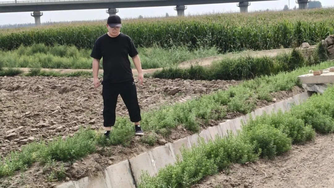 3.jpeg 3.jpeg